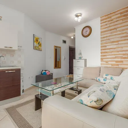 Pet Friendly In With Wifi Apartment Povljana